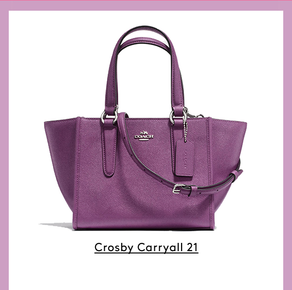 Purple Bag