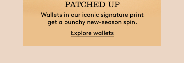 PATCHED UP | Explore wallets