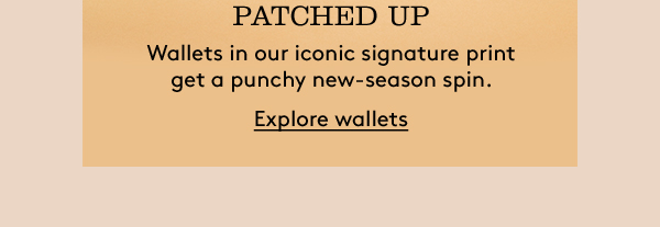 PATCHED UP | Explore wallets