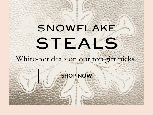 SNOWFLAKE STEALS | SHOP NOW