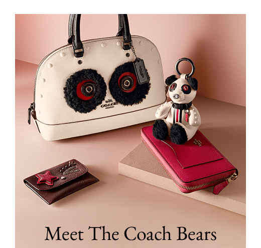 Meet The Coach Bears