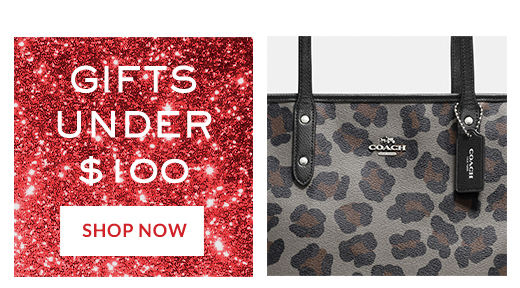 GIFTS UNDER $100 | SHOP NOW