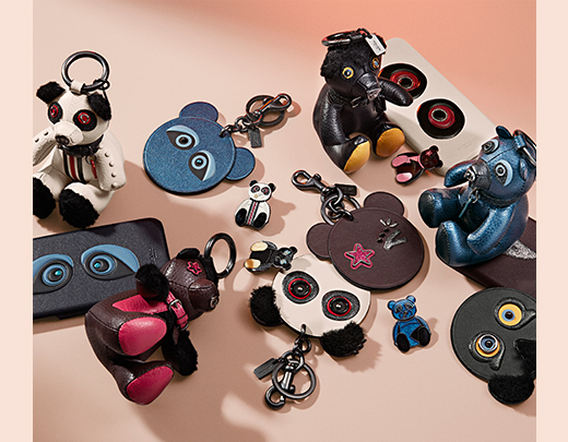 Meet The Coach Bears