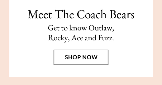 Get to know Outlaw, Rocky, Ace and Fuzz. | SHOP NOW