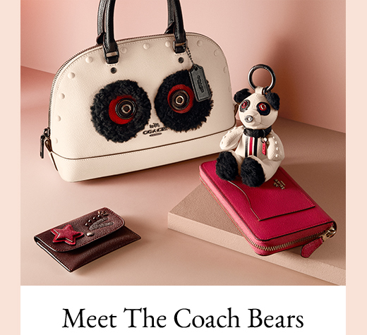 Meet the Coach Bears