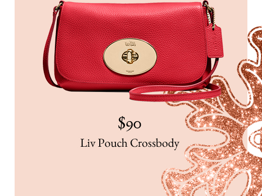 $90 | Liv Pouch Crossbody