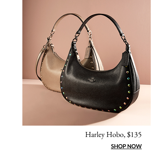 Harley Hobo, $135 | Shop Now