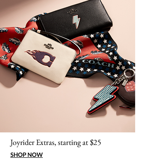Joyrider Extras, starting at $25 | Shop Now