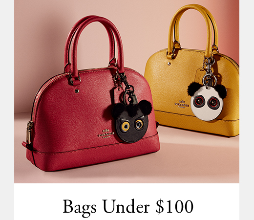 Bags Under $100