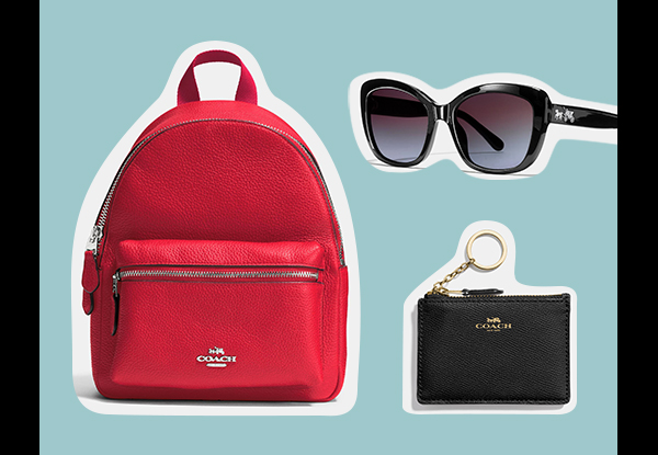 Coach Travel Accessories