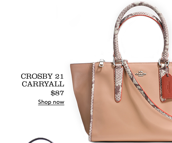 Crossby 21 Carryall $87 | Shop Now