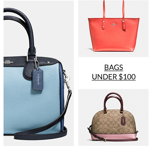 BAGS UNDER $100