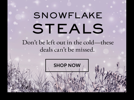 SNOWFLAKE STEALS | SHOP NOW