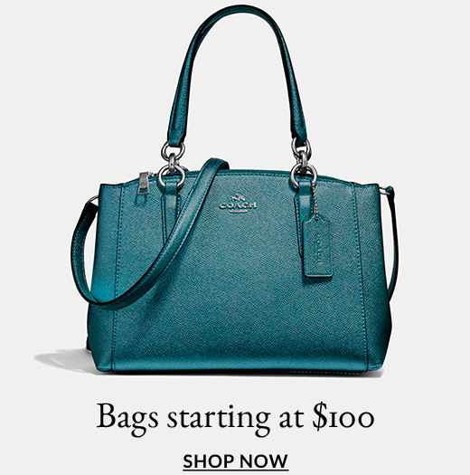 Bags starting at $100 | Shop Now