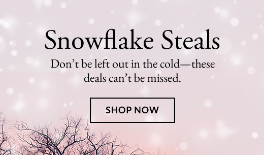 Snowflake Steals | Shop Now