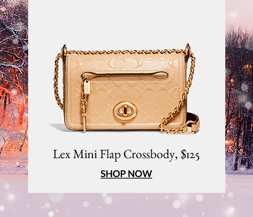 Lex Mini Flap Crossbody, $125 | Shop Now