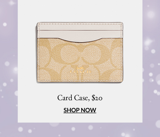 Card Case, $20 | Shop Now