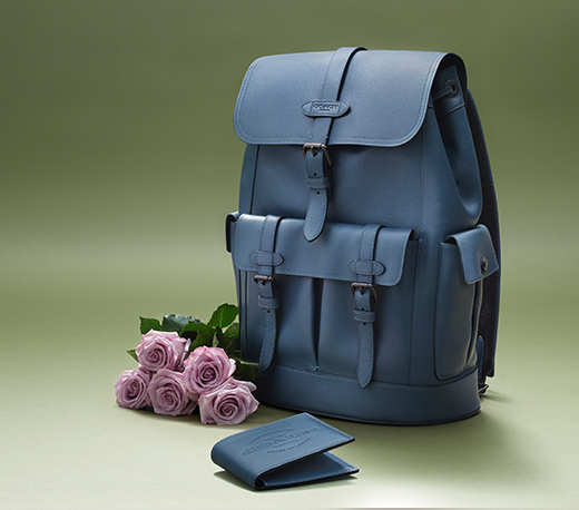 The Hudson Collection