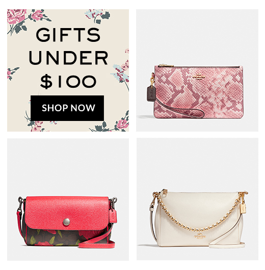 GIFTS UNDER $100 | SHOP NOW