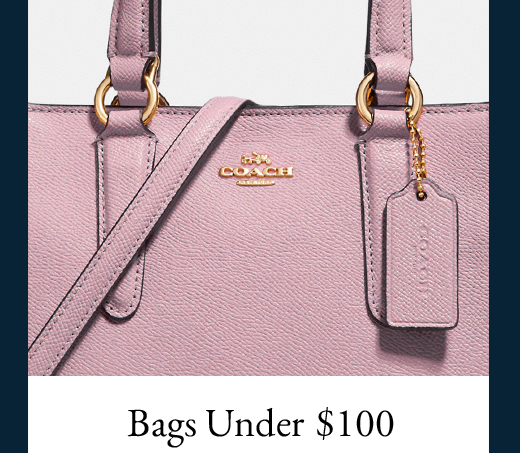 Bags Under $100