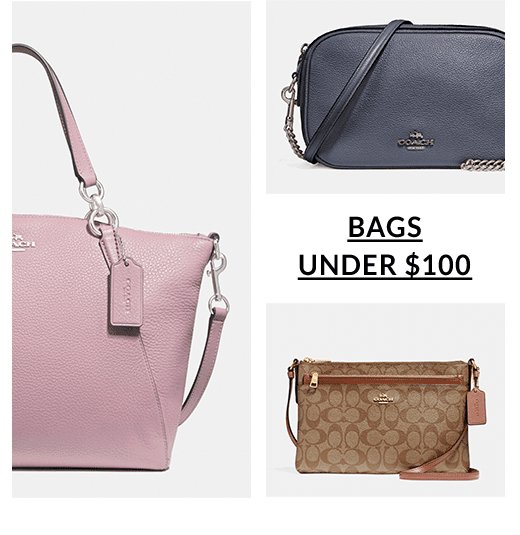 BAGS UNDER $	100