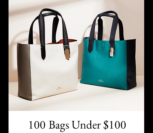 100 BAGS UNDER $100