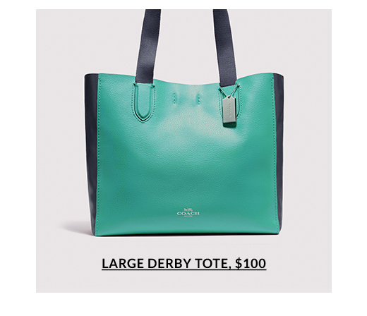 LARGE DERBY TOTE, $100