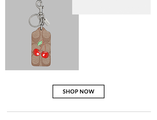 Coach Key Chain | SHOP NOW