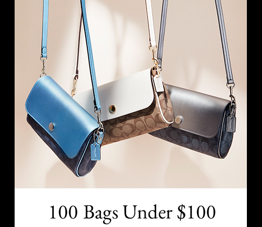100 Bags Under $100