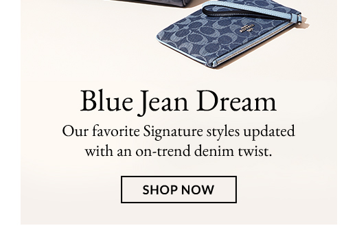 Blue Jean Dream | SHOP NOW