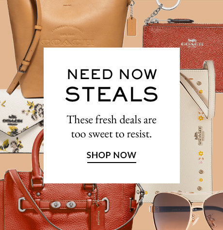 NEED NOW STEALS | These fresh deals are too sweet to resist. | SHOP NOW