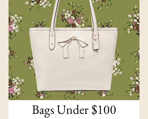 Bags Under $100
