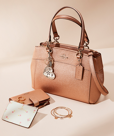 Tan Brown Bag & Wallets