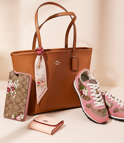 Bag, wallets and shoe