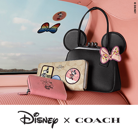 Disney Bag