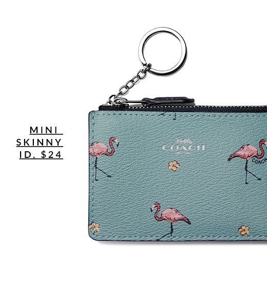 COACH | MINI SKINNY ID, $24