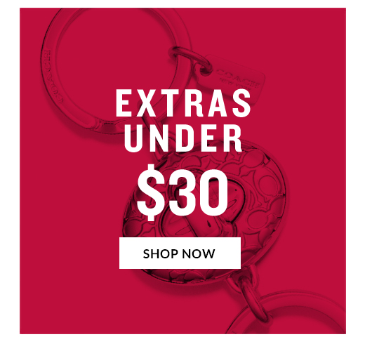 EXTRAS UNDER $30 | SHOP NOW