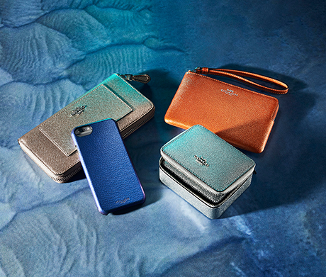 Coach Wallets Wristlets and Phone Case | Razzle Dazzle | SHOP NOW