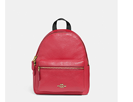 Mini Red Charlie Bag