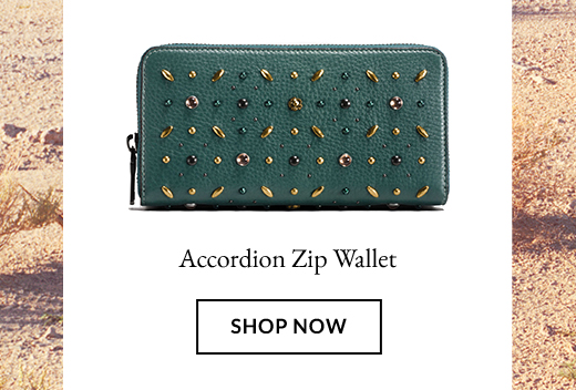Accordion Zip Wallet | SHOP NOW