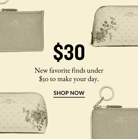 $30 | New favorite finds under $30 to make your day. | SHOP NOW