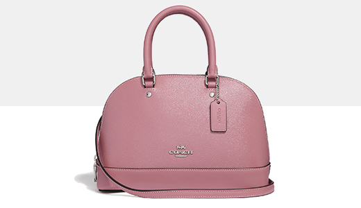 Pink Bag
