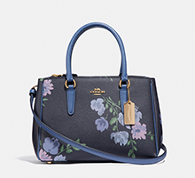 Mini Surrey Carryall