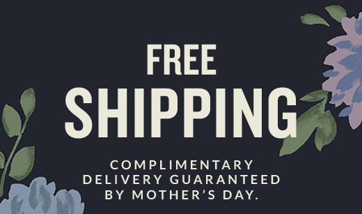 FREE SHIPPING