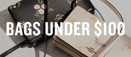 BAGS UNDER $100
