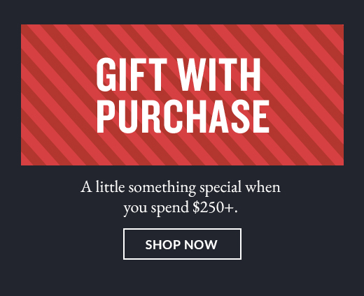 GIFT WITH PURCHASE | SHOP NOW