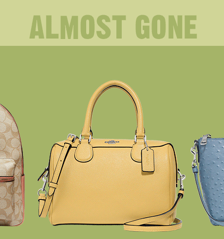 ALMOST GONE | COACH BAGS
