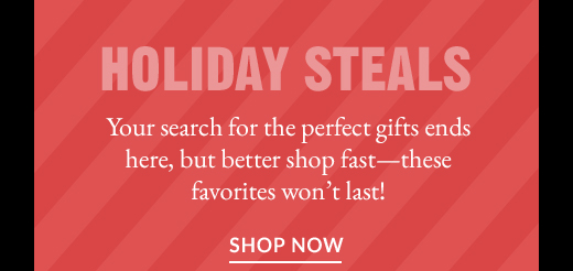 HOLIDAY STEALS | SHOP NOW