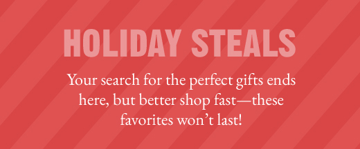 HOLIDAY STEALS