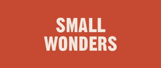 SMALL WONDERS
